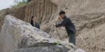 那山那海第13集劇照