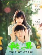 電影秘果海報
