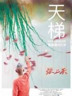天梯:蔡國(guó)強(qiáng)的藝術(shù)