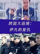 跨國大追捕：伊凡的復仇