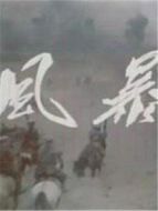 風(fēng)暴（抗戰(zhàn)片）