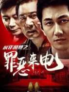 反詐風(fēng)暴之罪惡來(lái)電