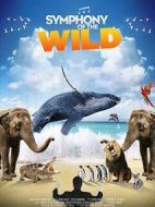 野生動物交響曲