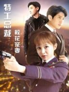 特工總裁?；▽櫰? height=