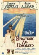 戰(zhàn)略空軍