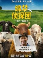 綿羊偵探團