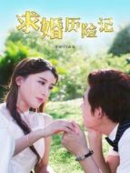 求婚歷險記