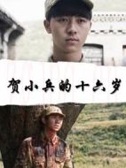 賀小兵的十六歲