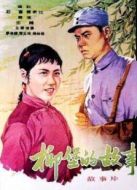 電影柳堡的故事海報