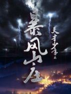 天才少年之暴風(fēng)山莊