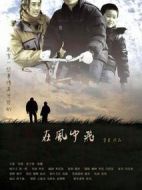 在風(fēng)中飛