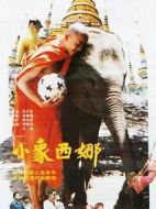 小象西納