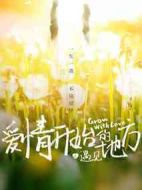 愛情開始的地方之遇見