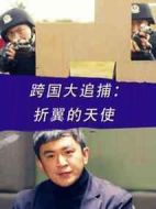 跨國大追捕：折翼的天使