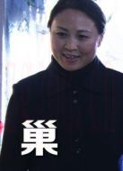 巢