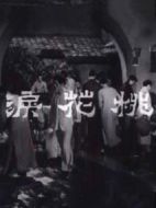 桃花淚