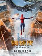 蜘蛛俠:英雄歸來 中文版