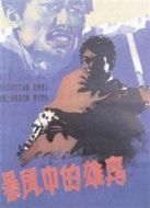 暴風(fēng)中的雄鷹（1957）