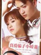 真愛(ài)騙子小嬌妻