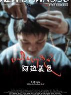 阿拉姜色