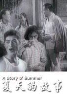 夏天的故事（1955）