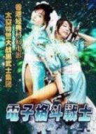 電子格斗戰(zhàn)士