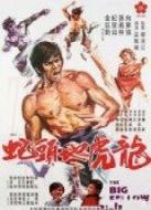 電影龍虎地頭蛇海報(bào)