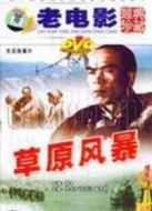 草原風(fēng)暴