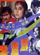霹靂拳
