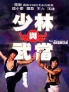 少林與武當(dāng)