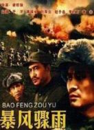 暴風(fēng)驟雨
