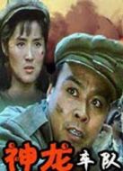 神龍車隊(duì)