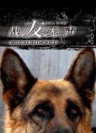 戰(zhàn)友無聲