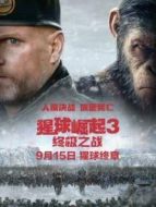 猩球崛起3:終極之戰(zhàn)（國(guó)語）
