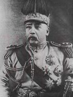 北洋軍覆滅記