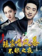 陸家嘴風暴：不眠之夜