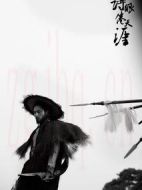 詩眼倦天涯