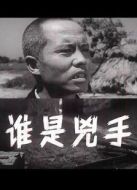 誰(shuí)是兇手