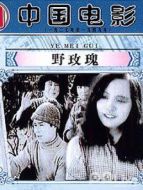 野玫瑰 大陸版