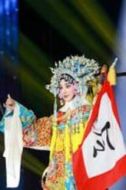 劉婉玉