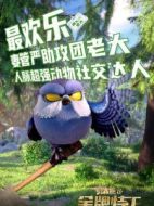 貓頭鷹