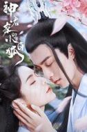 君沐陽/雪音釋/秦錦凌