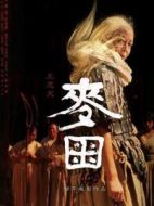 沖沖