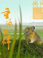 鼠兔