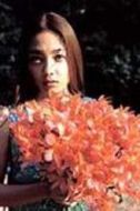 中山亞微梨