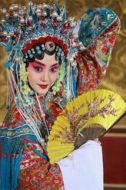 婉菊