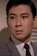 楊帆