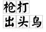 槍打出頭鳥劇情介紹(1-3全集)