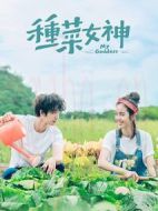 種菜女神劇情介紹(1-24全集)
