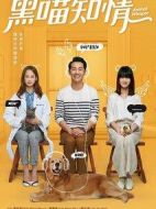 黑喵知情劇情介紹(1-14全集)